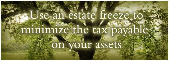 What is an estate freeze – a primer, my weekly perspective