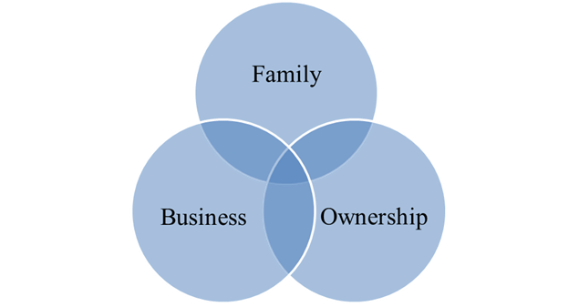 The Family in the 3 circle model – my weekly blog