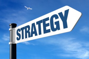 Is your business a race horse, a colt or a plough horse? Strategy setting- my weekly perspective