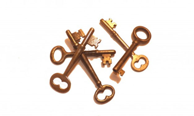 Don’t forget your customers and business – my weekly perspective