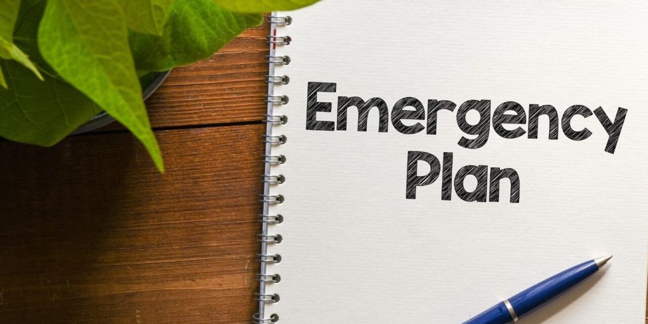 Creating a Comprehensive Emergency Business Plan – MY WEEKLY PERSPECTIVE